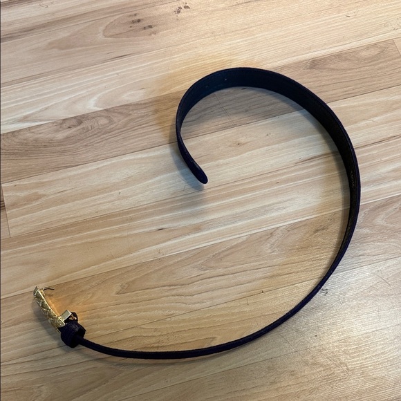 Carlisle Gold and purple velvet women’s belt main image 4